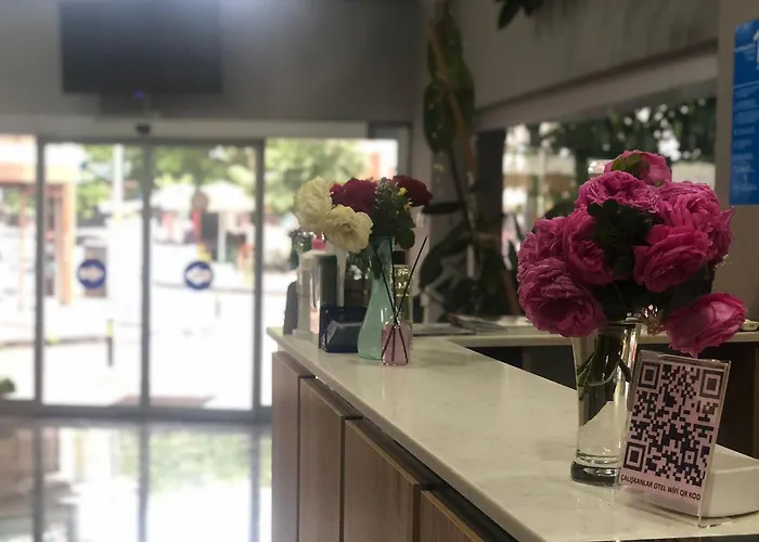 Caliskanlar מלון